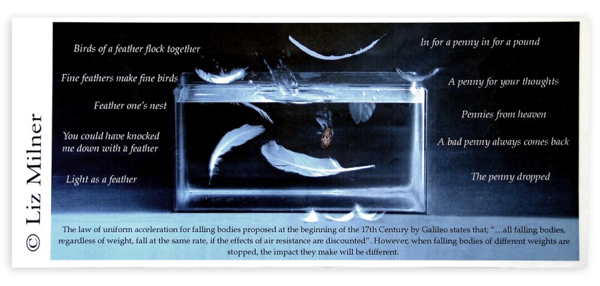 Falling bodies poster for buses in Bristol