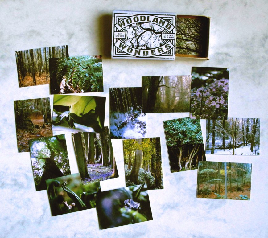 woodland-wonders-2