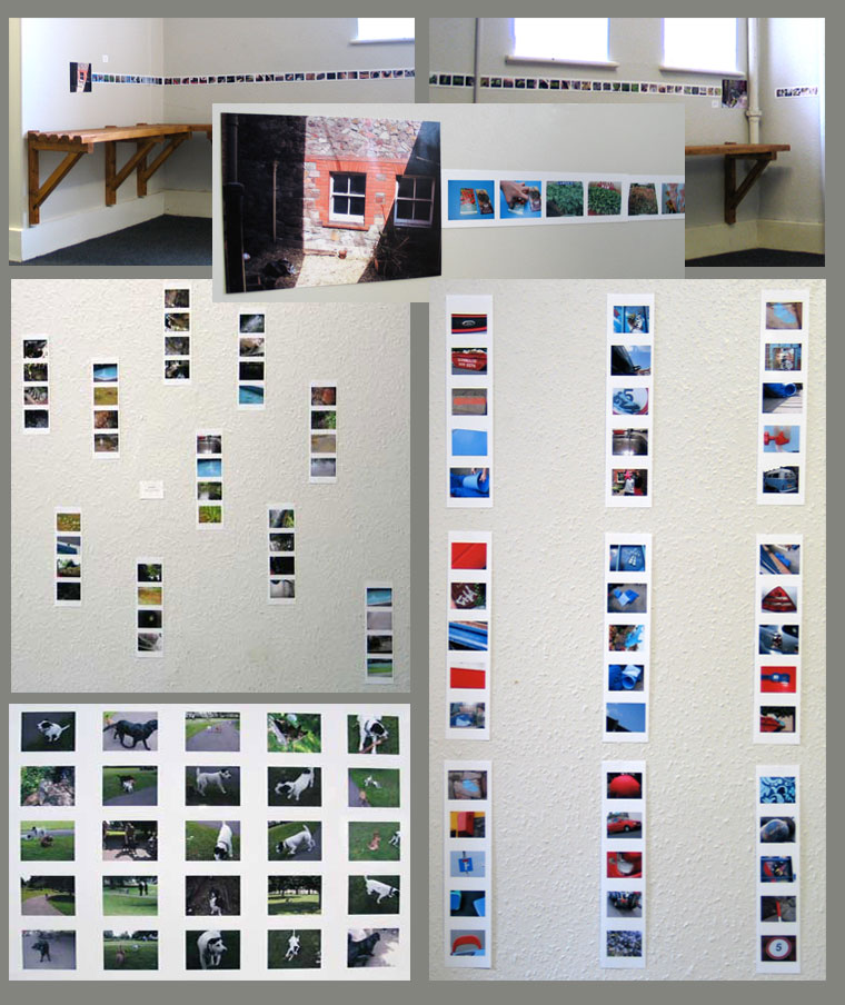 Top - a record of the Growing Jourey, below, sets of images taken by the children on themes we'd worked on with the cameras during the journeys: water, red and blue things, dogs!