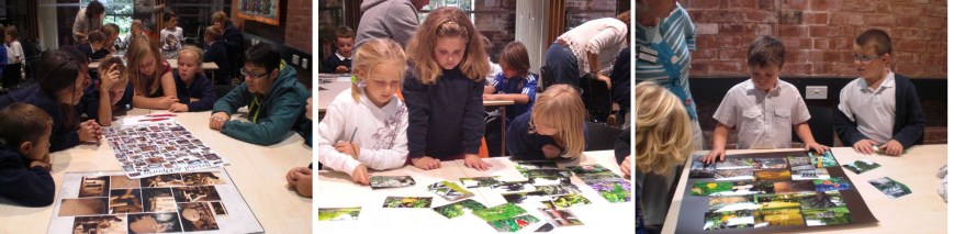 Ashcombe-school-layouts