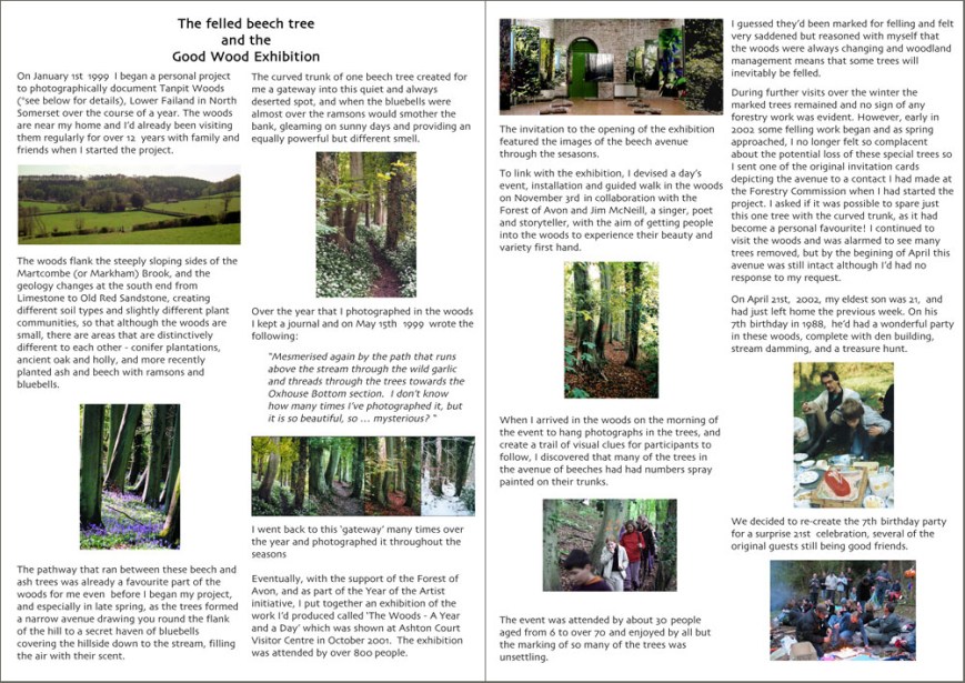 Beech-12-Gd-wd-story-1_2