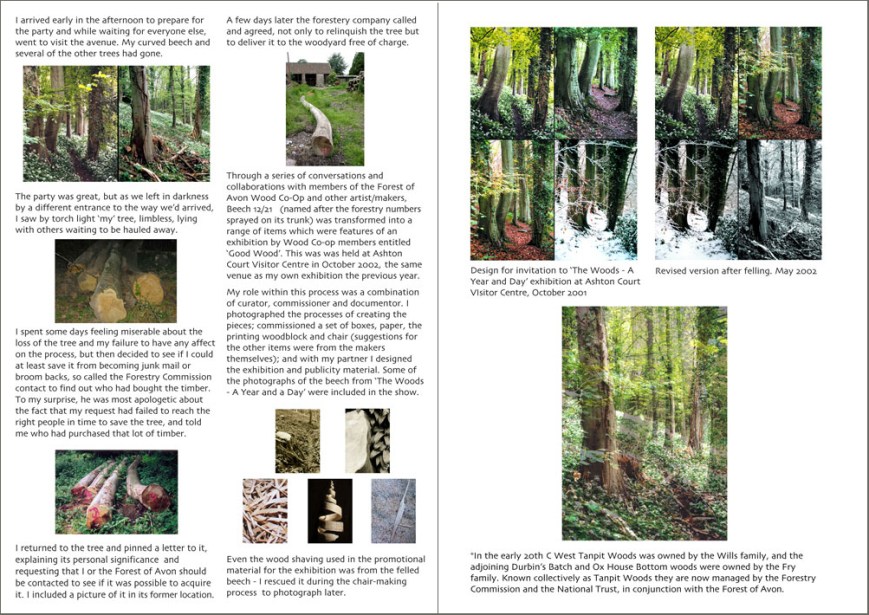 Beech-12-Gd-wd-story-3_4