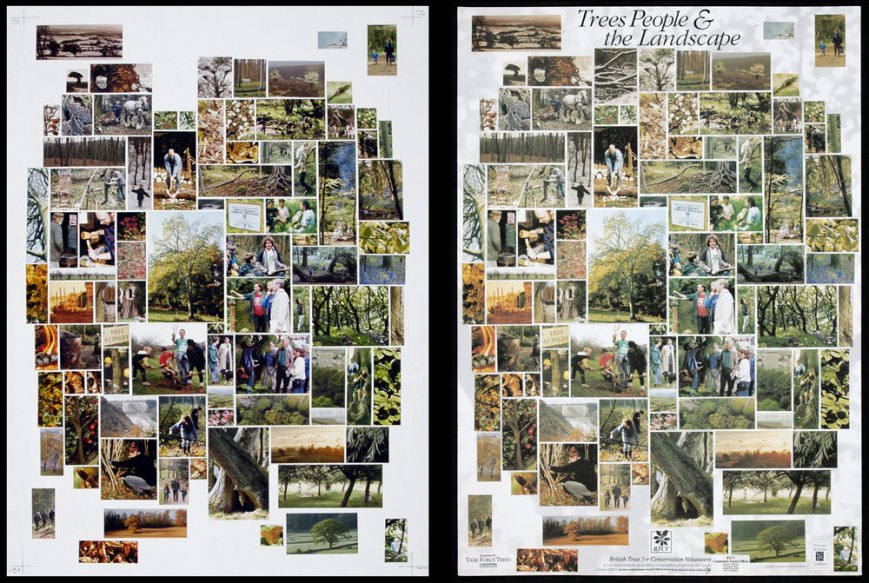 TreesPeopleLandscapes2