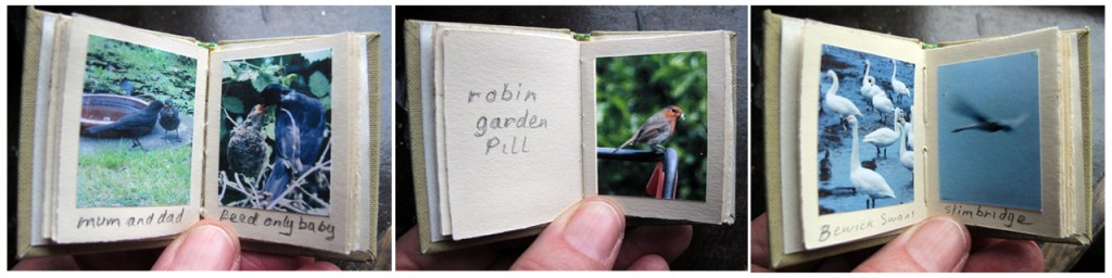 bird-book-3pics