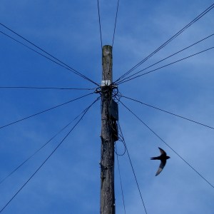 swift-and-wires